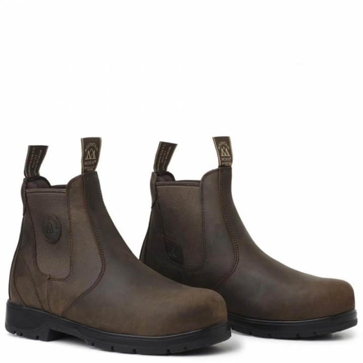 Jodhpurs Protective XTR Lite Brun i gruppen Ridesko, Støvler & Chaps / Ridesko hos Equinest (01056Br_r)