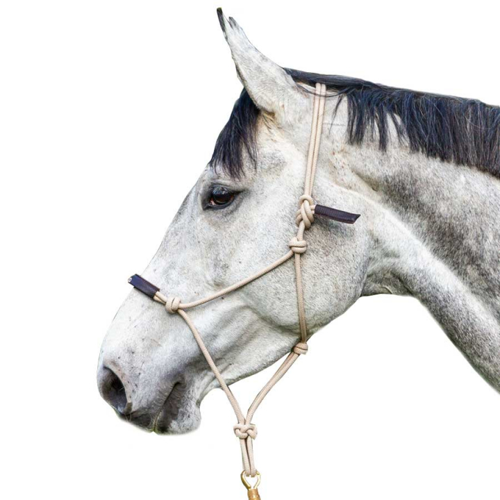 Taugrime LCC Natur/Brun i gruppen Hesteutstyr / Grimer / Taugrimer hos Equinest (0507CE86301302_N_r)