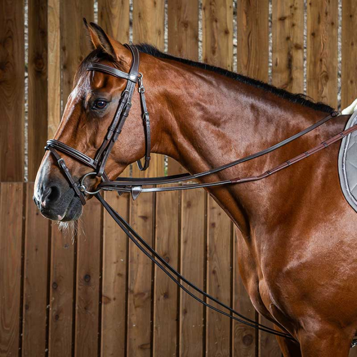 Hjelpetøyle Lær 13mm WC Brun i gruppen Hesteutstyr / Tøyler / Hjelpe- & Innspenningstøyler hos Equinest (0510076100201_B_r)