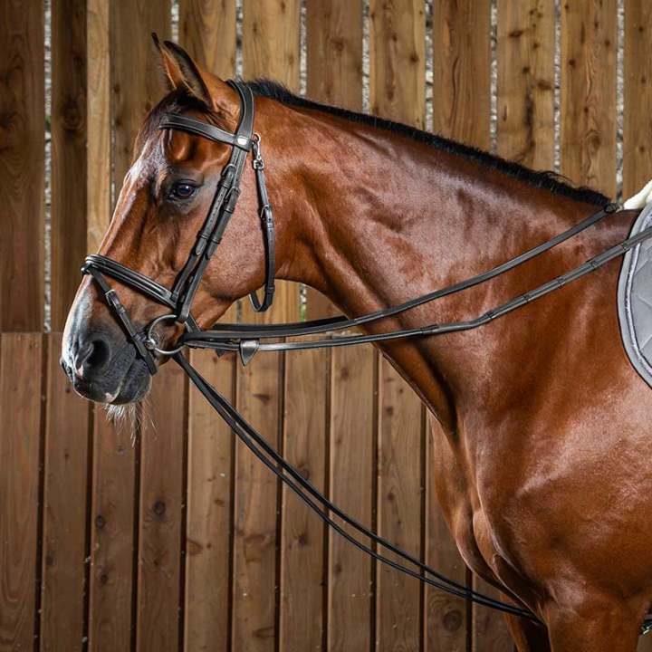 Hjelpetøyle Lær 13mm WC Svart i gruppen Hesteutstyr / Tøyler / Hjelpe- & Innspenningstøyler hos Equinest (0510076100201_S_r)
