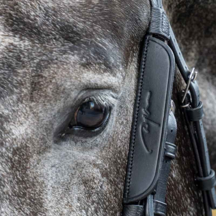 Skylapper / Blinkers 2-pk Svart i gruppen Hesteutstyr / Hodelag & Pannebånd / Tilbehør til hodelag hos Equinest (0523BBL_S_r)