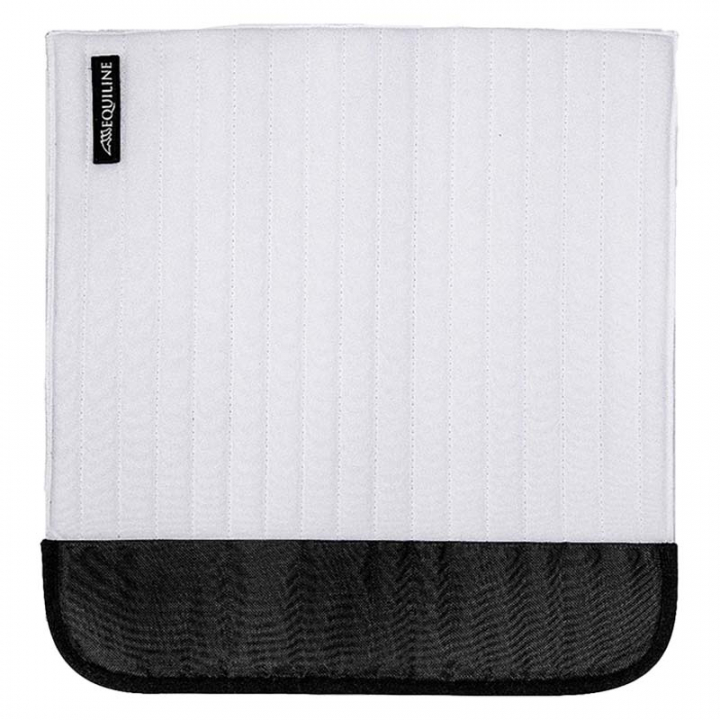 Bandasjeunderlag Xaviar Hvit i gruppen Hesteutstyr / Belegg & Bandasjer / Bandasjer hos Equinest (0701000720103VI)