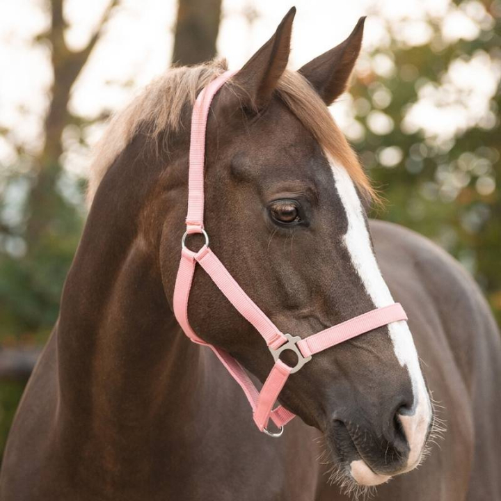 Grime Slide Lyserosa i gruppen Hesteutstyr / Grimer / Stoff- & Nylongrimer hos Equinest (1040FP1LPI_r)