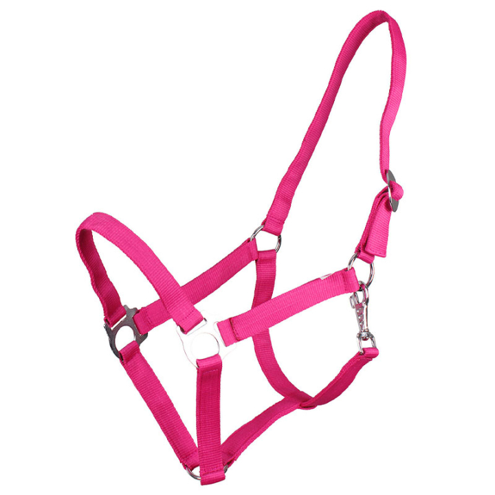 Grime Slide Fuchsia i gruppen Hesteutstyr / Grimer / Stoff- & Nylongrimer hos Equinest (1040FU1FU_r)