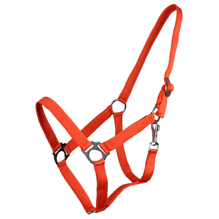 Grime Slide Orange i gruppen Hesteutstyr / Grimer / Stoff- & Nylongrimer hos Equinest (1040OR1OR_r)