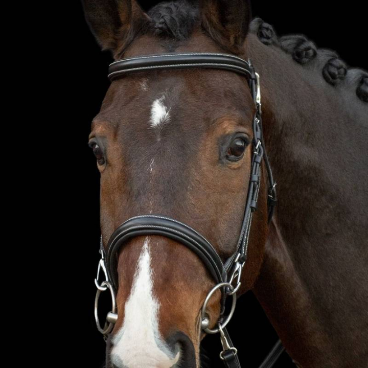 Hodelag Dortmund Svart i gruppen Hesteutstyr / Hodelag & Pannebånd / Hodelag hos Equinest (1100000761BA_r)