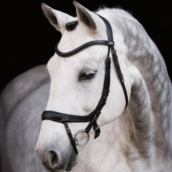 Hodelag Equitus Alpha Svart i gruppen Hesteutstyr / Hodelag & Pannebånd / Hodelag hos Equinest (1101-00044Sv_r)