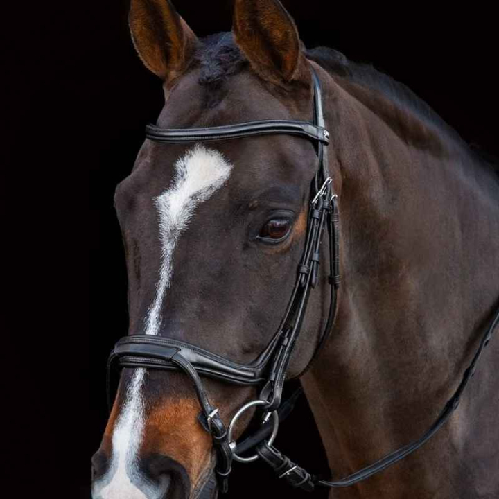 Hodelag Ancona Select Svart i gruppen Hesteutstyr / Hodelag & Pannebånd / Hodelag hos Equinest (1101000731BA_r)