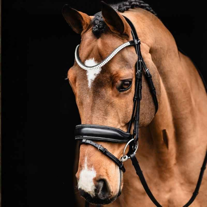 Dressurhodelag Valencia Svart i gruppen Hesteutstyr / Hodelag & Pannebånd / Dressur- & Kandarhodelag hos Equinest (1101000751BA_r)