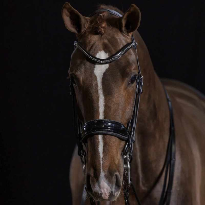 Kandarhodelag Lakk Milan Glam Svart i gruppen Hesteutstyr / Hodelag & Pannebånd / Dressur- & Kandarhodelag hos Equinest (1111000141BA_r)