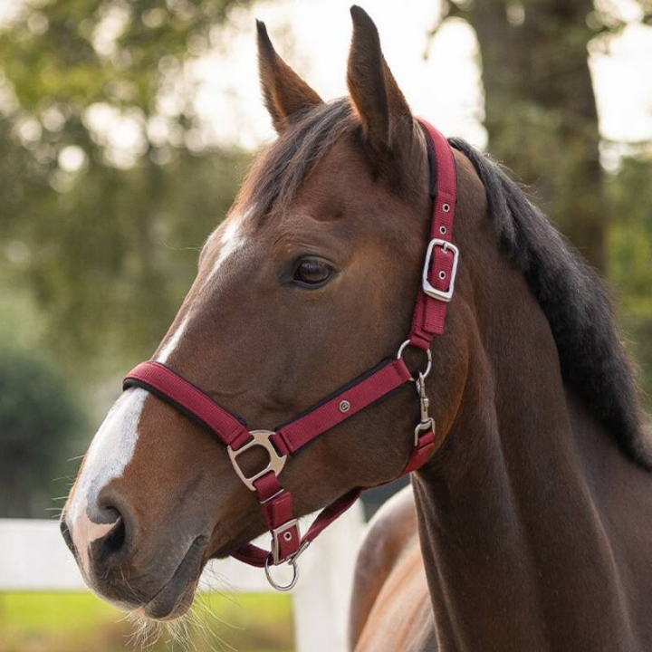 Grime Deluxe Vinrød i gruppen Hesteutstyr / Grimer / Stoff- & Nylongrimer hos Equinest (1125BO3WN_r)