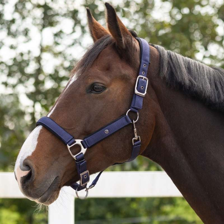 Grime Deluxe Marineblå i gruppen Hesteutstyr / Grimer / Stoff- & Nylongrimer hos Equinest (1125NA3NA_r)