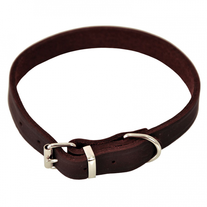 Hundehalsbånd Lina Lær Brun i gruppen Hund / Hundehalsbånd & Sele hos Equinest (122730BR)
