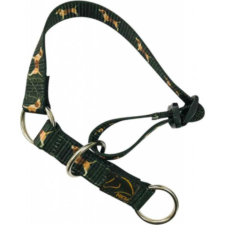 Hundehalsbånd Beagle Grønn i gruppen Hund / Hundehalsbånd & Sele hos Equinest (129535900Gn_r)