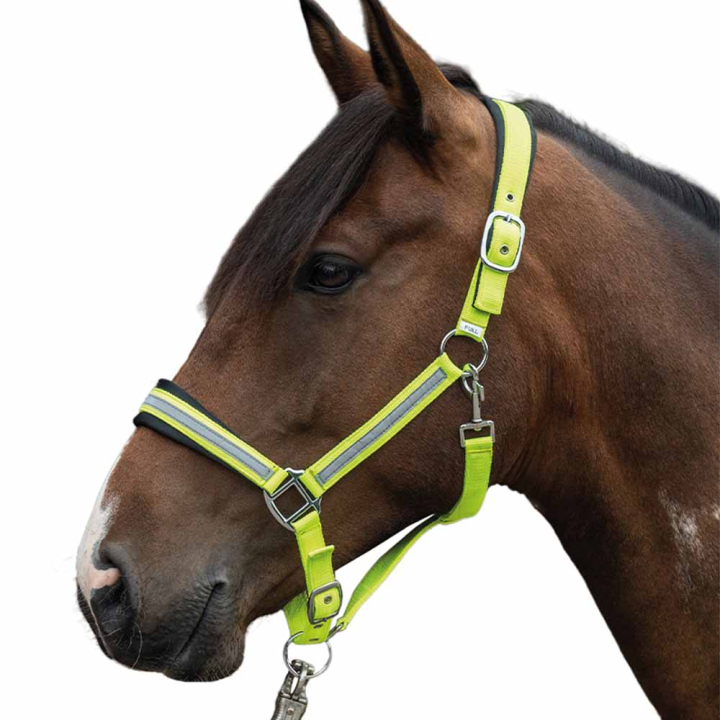Grime Reflective Gul/Sølv i gruppen Rideutstyr / Reflekser hos Equinest (14191YE)