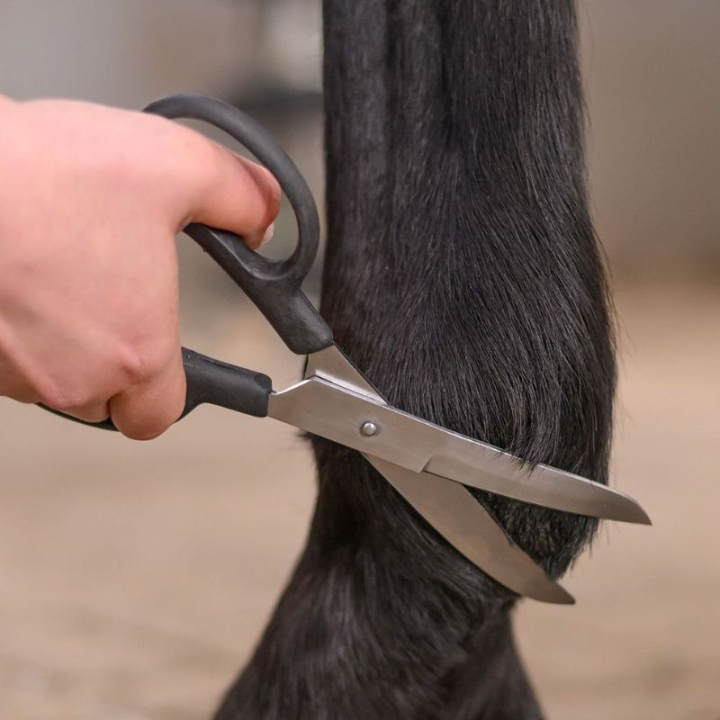Saks Fetlock Shears Bend Svart i gruppen Stell & Pleie / Børster / Sakser & Trimkniver hos Equinest (154200BA)