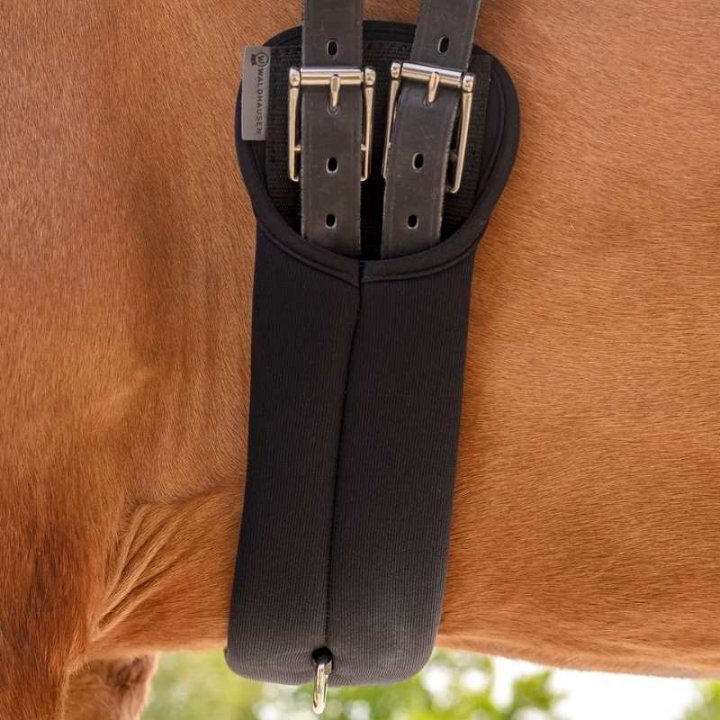 Dressurgjord Memory Foam Svart i gruppen Hesteutstyr / Salgjorder / Dressurgjorder hos Equinest (19021010BA_r)