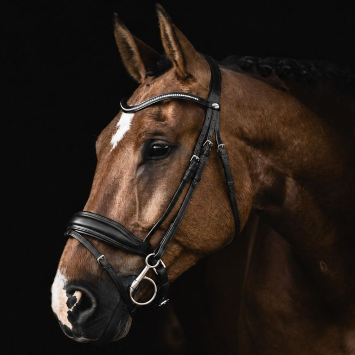 Dressurhodelag Integro Svart i gruppen Hesteutstyr / Hodelag & Pannebånd / Dressur- & Kandarhodelag hos Equinest (208613Sv_r)