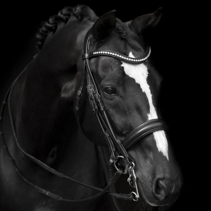 Kandarhodelag Delicato Supreme Svart i gruppen Hesteutstyr / Hodelag & Pannebånd / Dressur- & Kandarhodelag hos Equinest (208813BA_r)