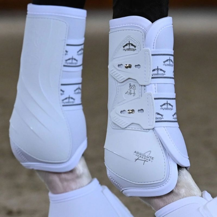 Dressurbeskyttere Absolute Front Elastic Hvit i gruppen Hesteutstyr / Belegg & Bandasjer / Dressur- & Treningsbelegg hos Equinest (21020190Vi_r)