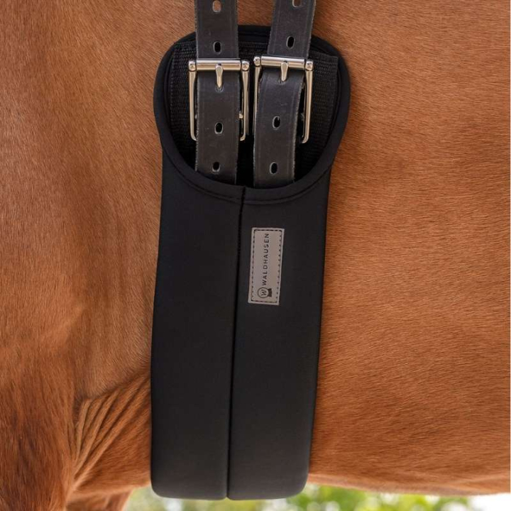 Dressurgjord Super Soft Svart i gruppen Hesteutstyr / Salgjorder / Dressurgjorder hos Equinest (21280104BA_r)