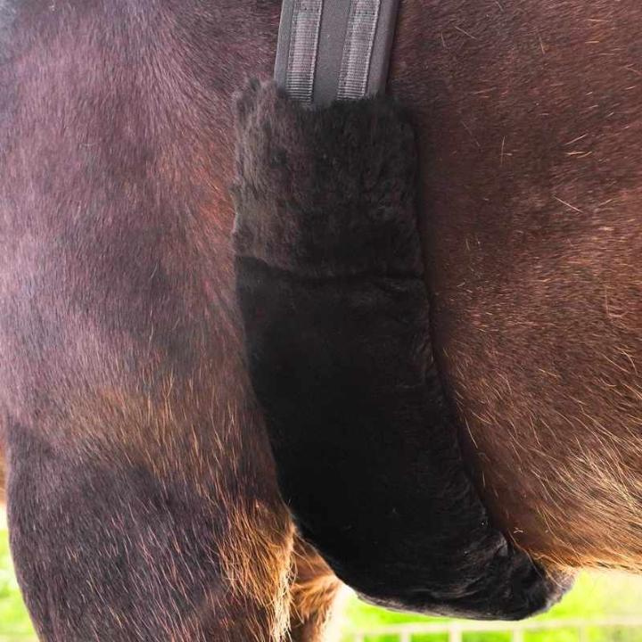 Gjordtrekk Lambskin Svart i gruppen Hesteutstyr / Salgjorder / Gjordbeskyttere hos Equinest (21443001BA)