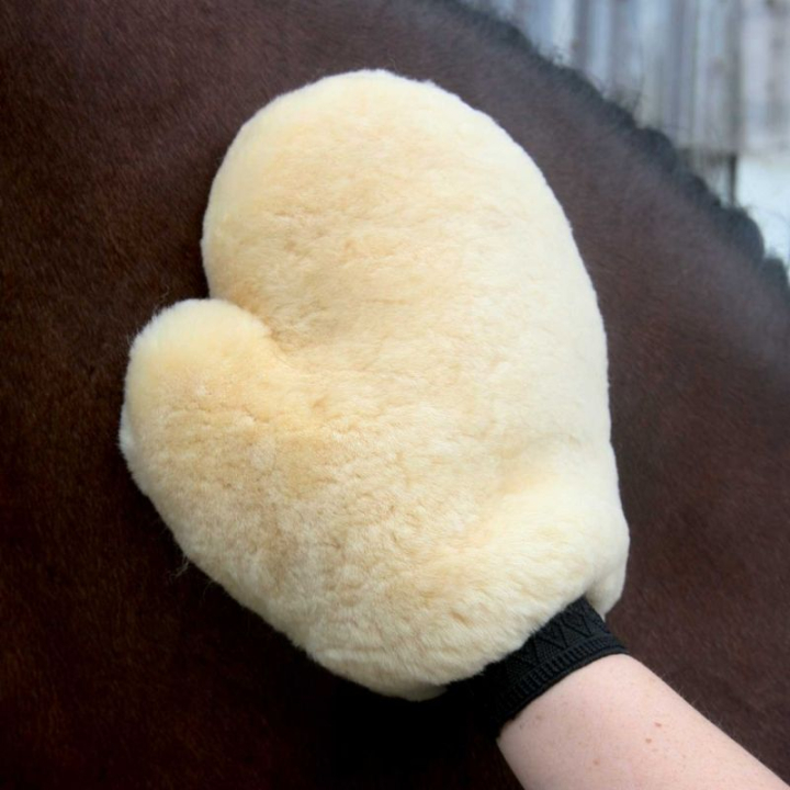 Pelsstellhanske Lambskin Natur i gruppen Stell & Pleie / Børster / Groominghanske hos Equinest (21445002NAT)