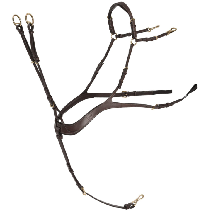 Anatomiskt fortøy med martingal Chocolate/Gull i gruppen Hesteutstyr / Martingal & Fortøy / Fortøy hos Equinest (235873CHGO_r)