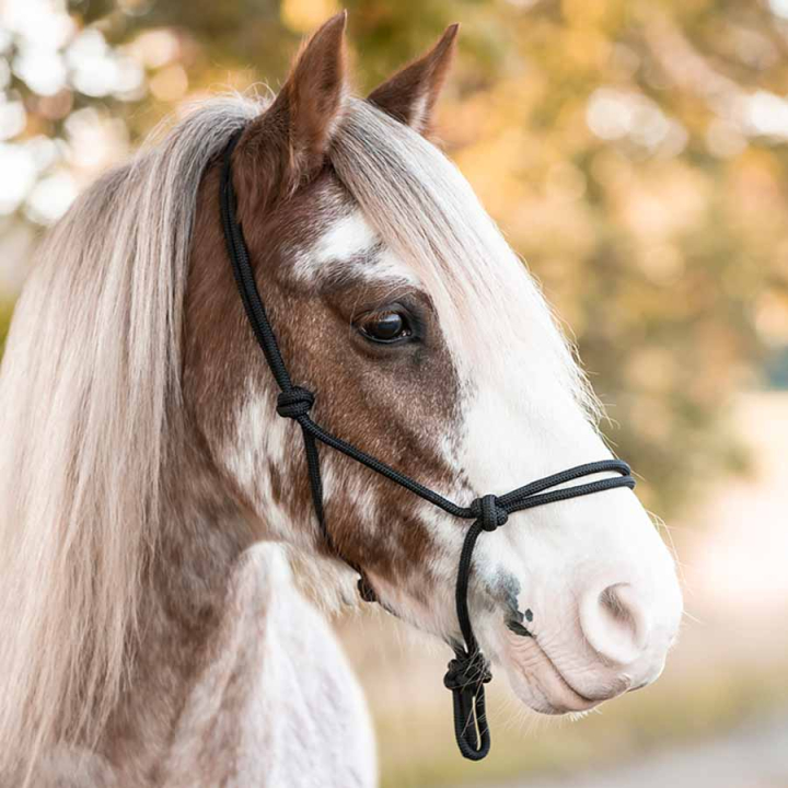 Taugrime Polypropylene Svart i gruppen Hesteutstyr / Grimer / Taugrimer hos Equinest (240012BA_r)