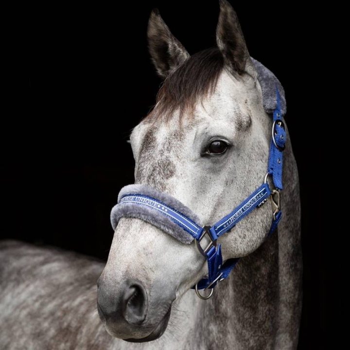 Grime med pels Royalblå/Grå i gruppen Hesteutstyr / Grimer / Stoff- & Nylongrimer hos Equinest (243012Bl_r)
