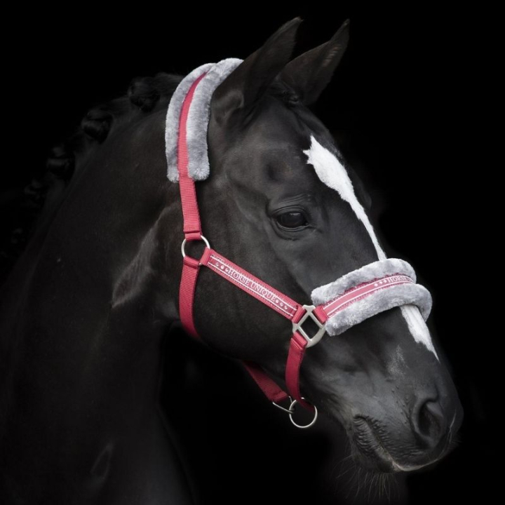 Grime med pels Rød/Grå i gruppen Hesteutstyr / Grimer / Stoff- & Nylongrimer hos Equinest (243082REGR_r)