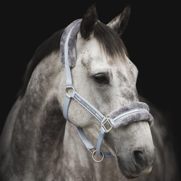 Grime med pels Lys Blå/Grå i gruppen Hesteutstyr / Grimer / Stoff- & Nylongrimer hos Equinest (243730LBLGR_r)