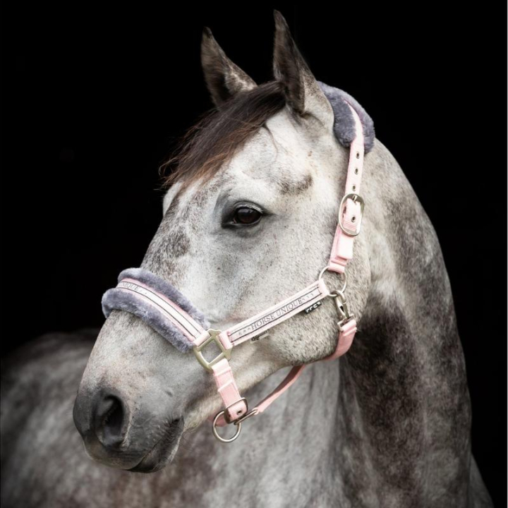 Grime med pels Lyserosa/Grå i gruppen Hesteutstyr / Grimer / Stoff- & Nylongrimer hos Equinest (243750LPIGR_r)