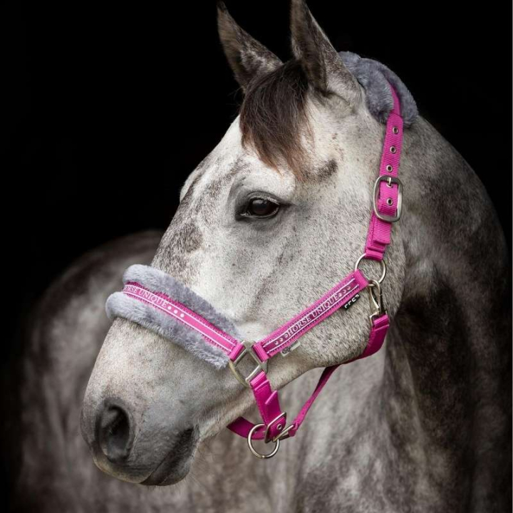 Grime med pels Rosa/Grå i gruppen Hesteutstyr / Grimer / Stoff- & Nylongrimer hos Equinest (243760PIGR_r)