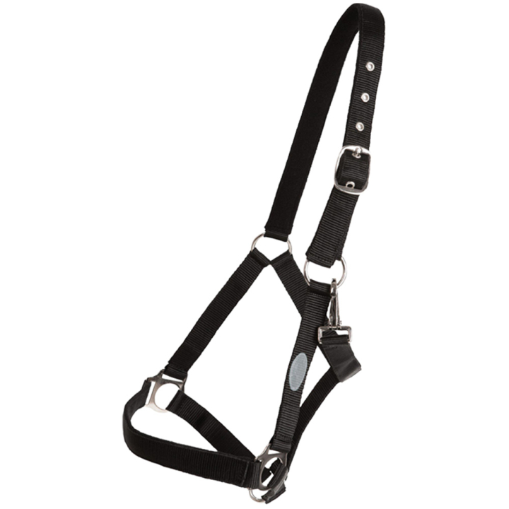 Grime Basic Svart i gruppen Hesteutstyr / Grimer / Stoff- & Nylongrimer hos Equinest (244912BA_r)