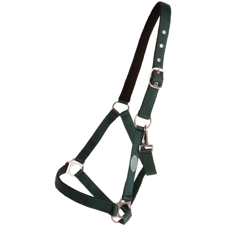 Grime Basic Grønn i gruppen Hesteutstyr / Grimer / Stoff- & Nylongrimer hos Equinest (244932GN_r)