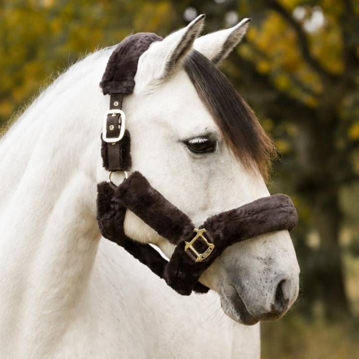 Grime Cozy med pels Brun/Brun i gruppen Hesteutstyr / Grimer / Stoff- & Nylongrimer hos Equinest (246012Br_r)