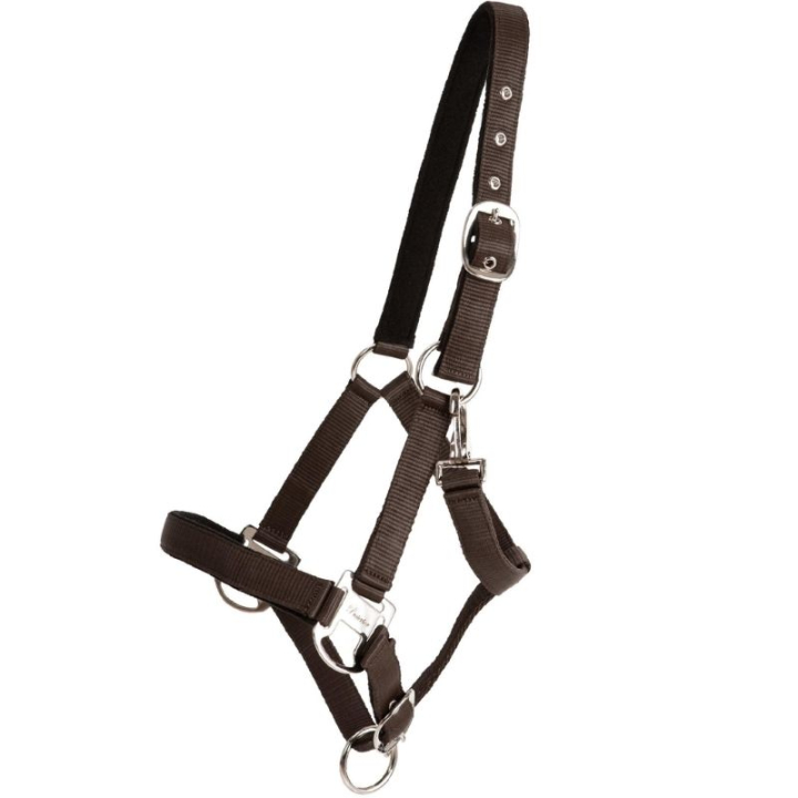 Grime Double Buckle Brun i gruppen Hesteutstyr / Grimer / Stoff- & Nylongrimer hos Equinest (246252BR_r)
