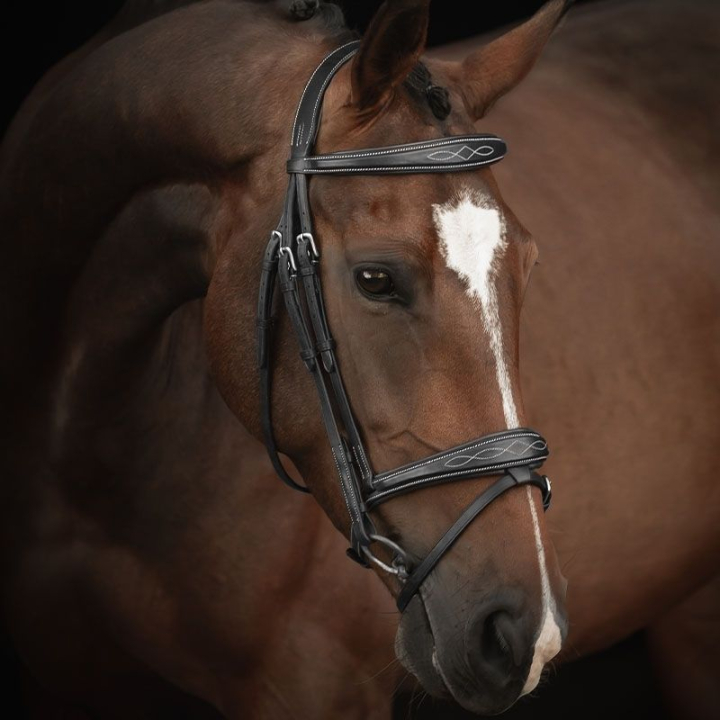 Hodelag Supreme Fancy Svart i gruppen Hesteutstyr / Hodelag & Pannebånd / Hodelag hos Equinest (260413BA)
