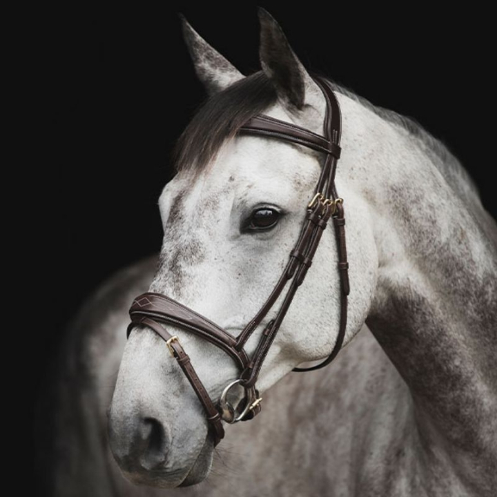Hodelag Supreme Fancy Mørkebrun i gruppen Hesteutstyr / Hodelag & Pannebånd / Hodelag hos Equinest (260413BR)