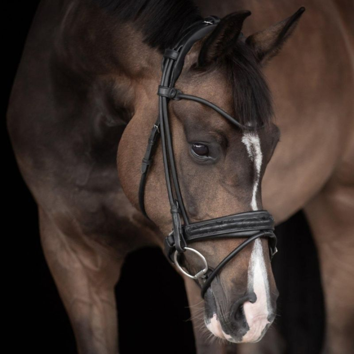Dressurhodelag Quinsy Supreme Svart i gruppen Hesteutstyr / Hodelag & Pannebånd / Dressur- & Kandarhodelag hos Equinest (260813BA_r)