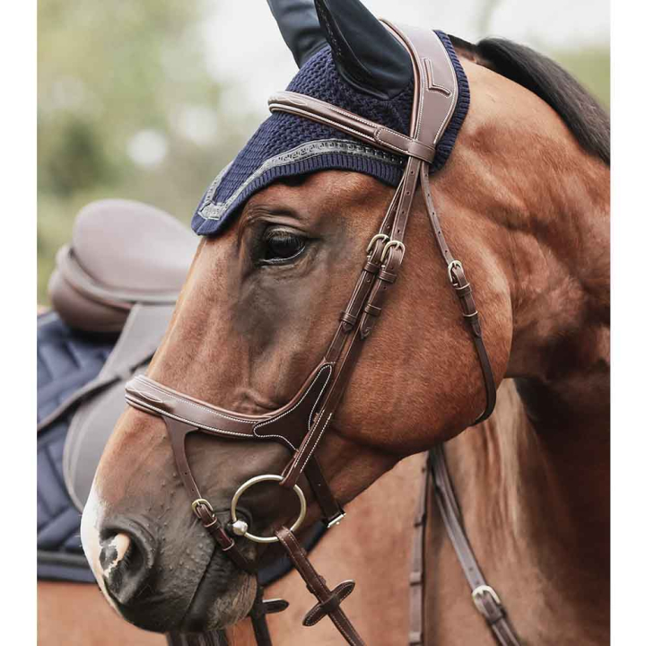 Hodelag Fazzino Brun i gruppen Hesteutstyr / Hodelag & Pannebånd / Hodelag hos Equinest (280312Br_r)