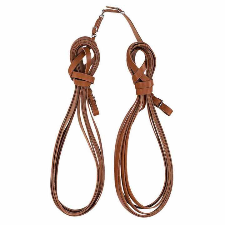 Tømmer for tømmekjøring Lysebrun i gruppen Hesteutstyr / Longering & Tømmekjøring hos Equinest (284012Br_r)