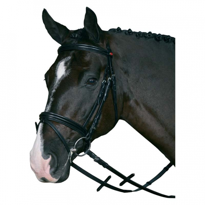 Hodelag med tøyler HG Svart i gruppen Hesteutstyr / Hodelag & Pannebånd / Hodelag hos Equinest (31570BA)
