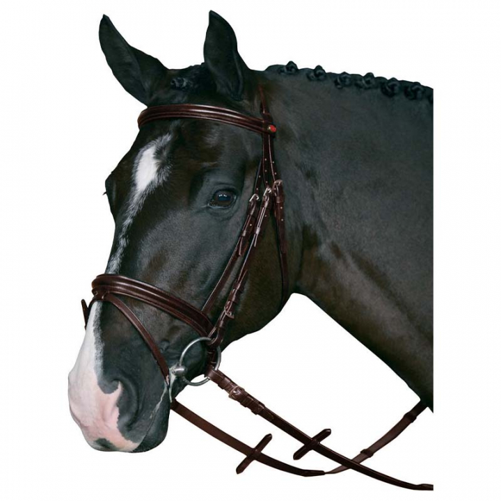 Hodelag med tøyler HG Brun i gruppen Hesteutstyr / Hodelag & Pannebånd / Hodelag hos Equinest (31570BR)