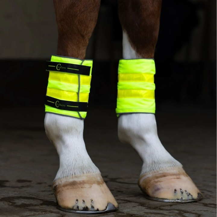 Beinrefleks Reflective 2-pack Gul i gruppen Rideutstyr / Reflekser hos Equinest (3232448YE)