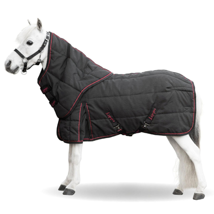 Stalldekken Miniature Supreme Plus 600D 100g Svart i gruppen Hestedekken / Stalldekken hos Equinest (363165BA_r)