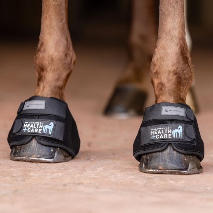 Kjølekopper Cooling Svart i gruppen Hesteutstyr / Belegg & Bandasjer / Kopper hos Equinest (3753101SBA_r)
