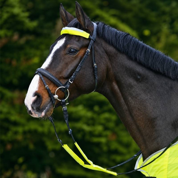 Reflekser for hodelag Set 3-pk Gul i gruppen Rideutstyr / Reflekser hos Equinest (380500YE)