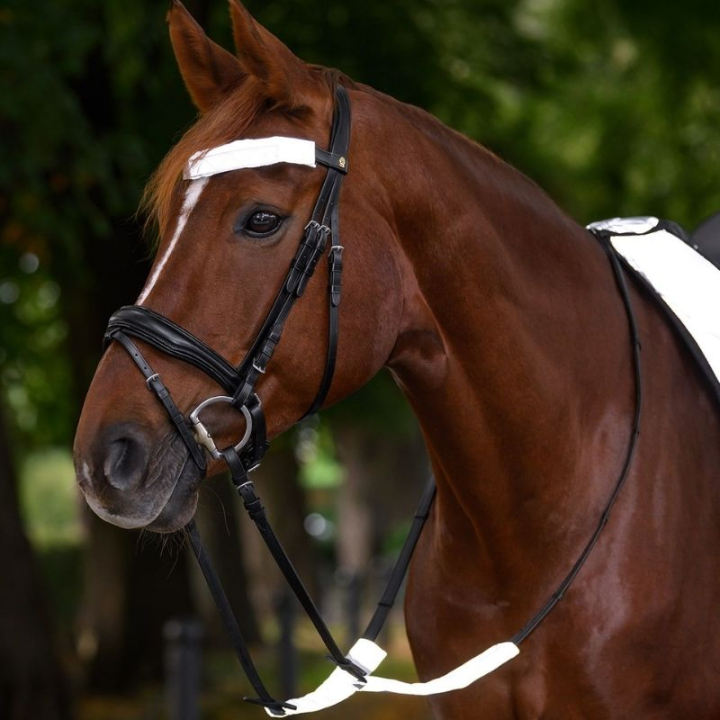 Reflekser for hodelag Set 3-pk Sølv i gruppen Rideutstyr / Reflekser hos Equinest (380511SI)
